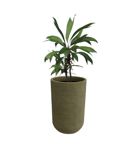 Medium Iris Round Pot -18"