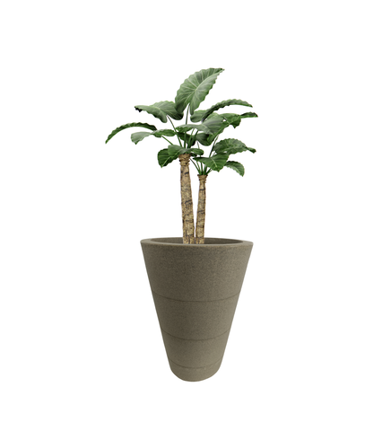 Three Ring Pot