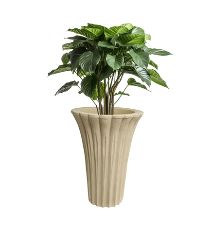 Palm Pot