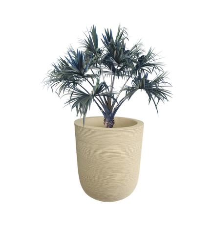 Big Iris Round Pot - 20''