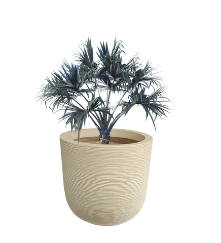 Big Iris Round Pot - 16''