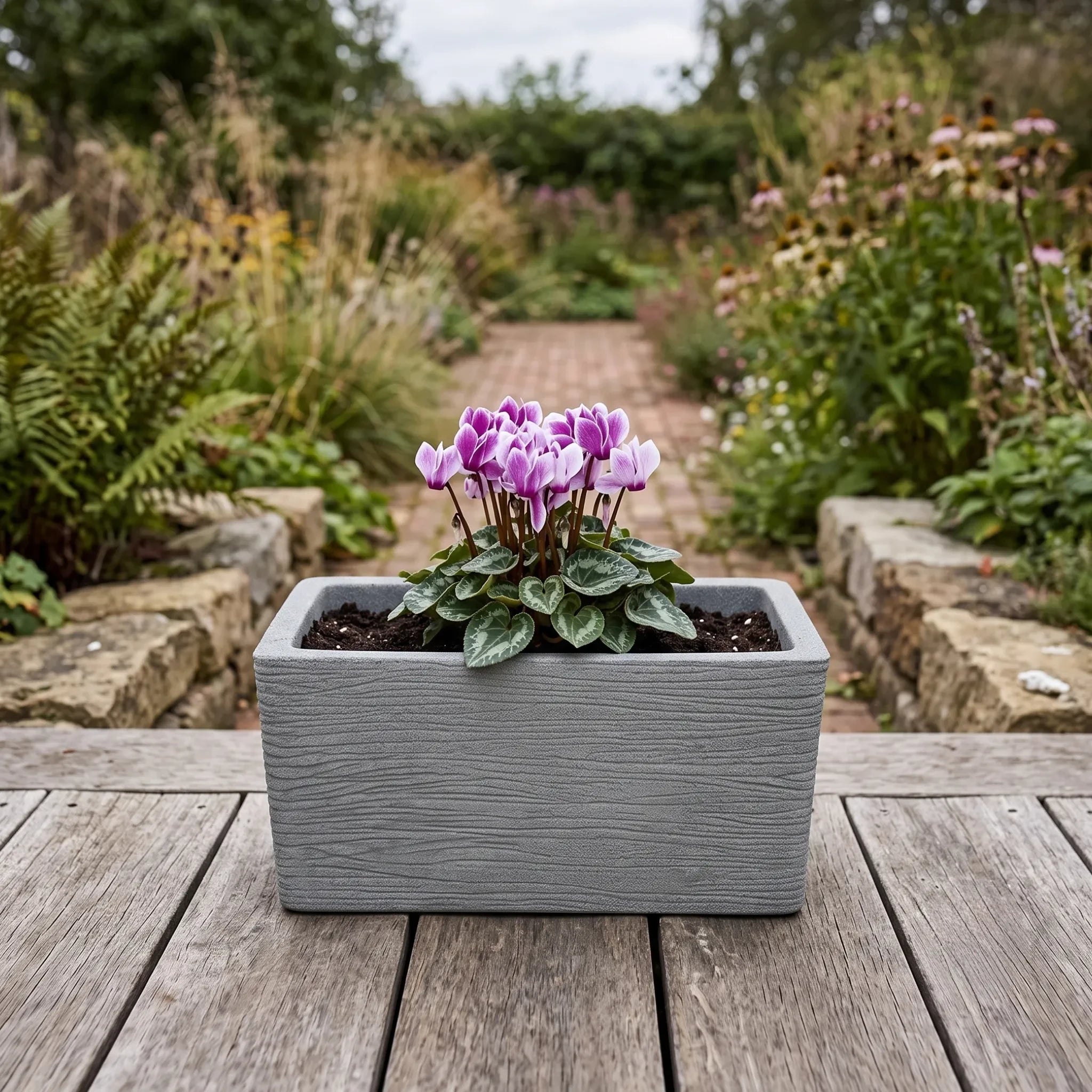Nora 20-inch grey rectangle planter with textured finish holding pink cyclamen flowers on a wooden deck
