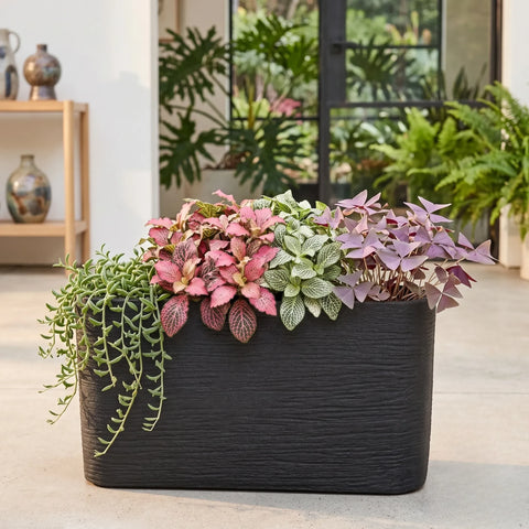 Nora 26-inch rectangular planter in black with a textured stone finish, filled with colorful indoor plants.