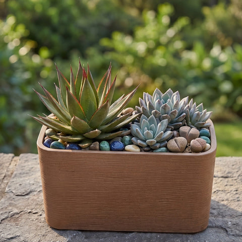 Nora 26-inch rectangular planter with a textured brown finish containing a variety of succulents and decorative stones