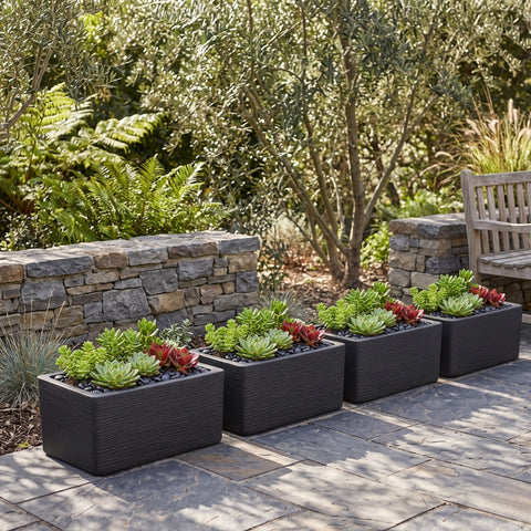 Nora 20-inch rectangular black planters with textured sides, filled with vibrant green and red succulents on a patio.