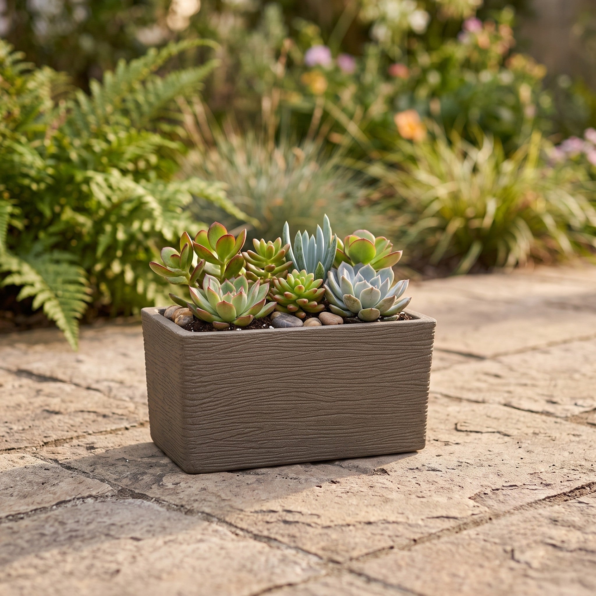 Nora 20-inch rectangular garden pot with textured brown finish filled with a variety of colorful succulents