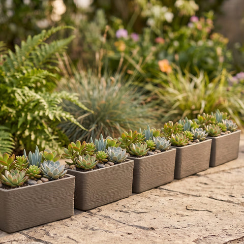 Nora 20-inch rectangular garden pots with textured grey finish, filled with assorted succulents on a stone patio.