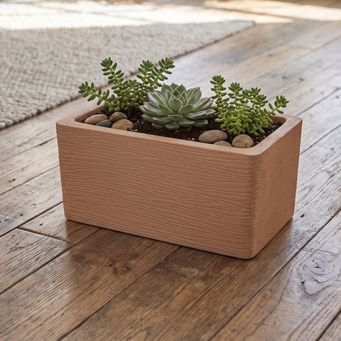 Nora 20-inch rectangular terracotta-style planter with textured finish containing succulents and decorative stones